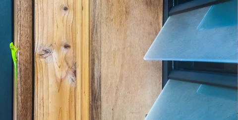Élégance et fonctionnalité : Découvrez les avantages des jalousies dans l'aménagement de vos espaces