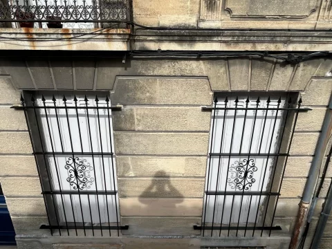 Pose de grilles de défense à Bordeaux (33)